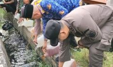 Polres Aru Musnahkan 600 Liter Miras Tradisonal Jenis Sopi